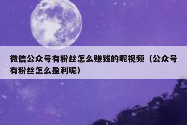 微信公众号有粉丝怎么赚钱的呢视频(公众号有粉丝怎么盈利呢) 第1张 微信公众号有粉丝怎么赚钱的呢视频(公众号有粉丝怎么盈利呢) 第1张
