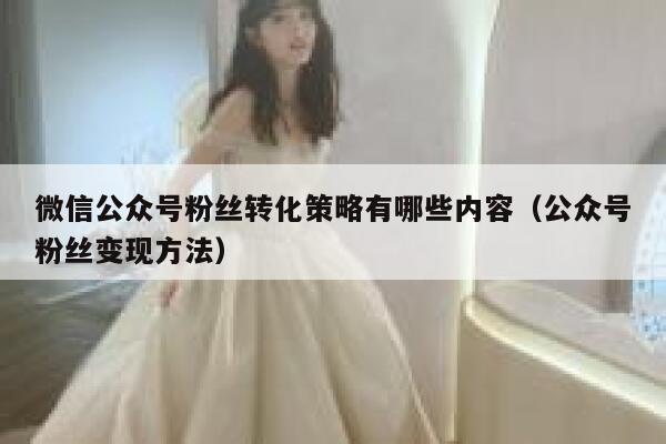 微信公众号粉丝转化策略有哪些内容(公众号粉丝变现方法) 第1张 微信公众号粉丝转化策略有哪些内容(公众号粉丝变现方法) 第1张