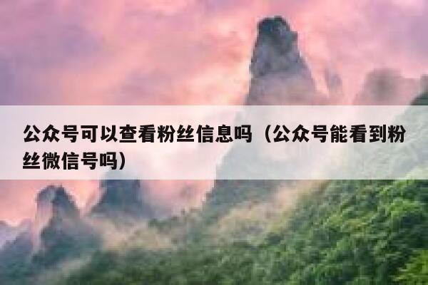 公众号可以查看粉丝信息吗(公众号能看到粉丝微信号吗) 第1张 公众号可以查看粉丝信息吗(公众号能看到粉丝微信号吗) 第1张