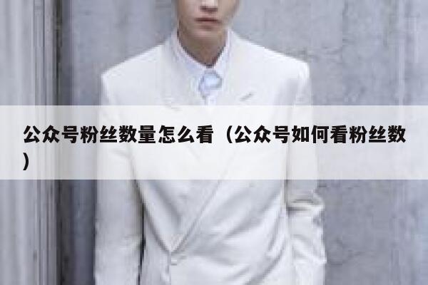 公众号粉丝数量怎么看(公众号如何看粉丝数) 第1张 公众号粉丝数量怎么看(公众号如何看粉丝数) 第1张