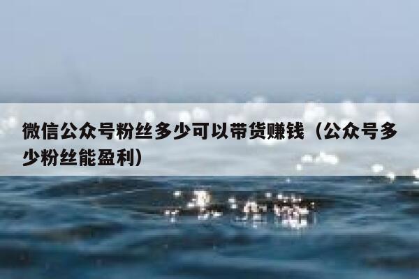 微信公众号粉丝多少可以带货赚钱(公众号多少粉丝能盈利) 第1张 微信公众号粉丝多少可以带货赚钱(公众号多少粉丝能盈利) 第1张
