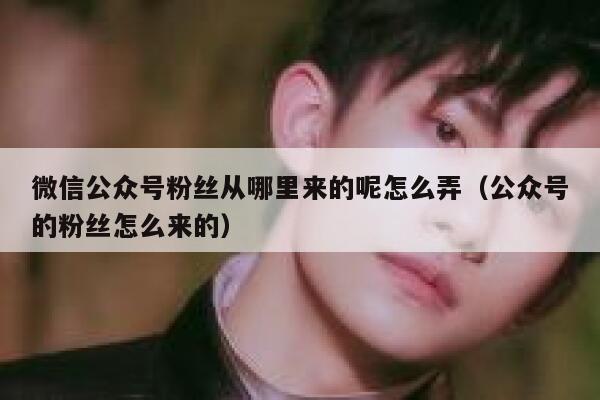 微信公众号粉丝从哪里来的呢怎么弄(公众号的粉丝怎么来的) 第1张 微信公众号粉丝从哪里来的呢怎么弄(公众号的粉丝怎么来的) 第1张