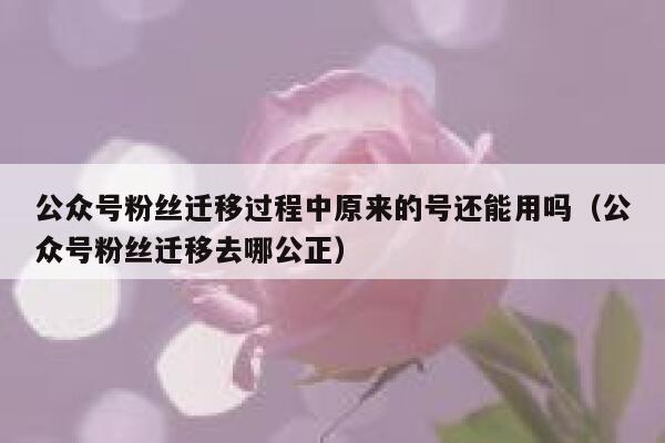 公众号粉丝迁移过程中原来的号还能用吗(公众号粉丝迁移去哪公正) 第1张 公众号粉丝迁移过程中原来的号还能用吗(公众号粉丝迁移去哪公正) 第1张