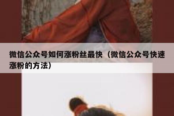 微信公众号如何涨粉丝最快(微信公众号快速涨粉的方法) 第1张 微信公众号如何涨粉丝最快(微信公众号快速涨粉的方法) 第1张