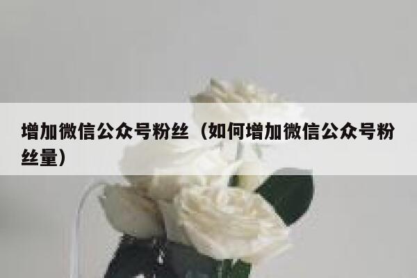 增加微信公众号粉丝（如何增加微信公众号粉丝量） 第1张