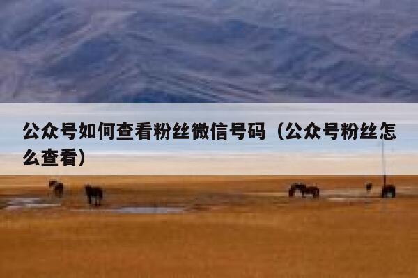 公众号如何查看粉丝微信号码（公众号粉丝怎么查看） 第1张