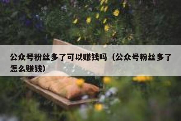 公众号粉丝多了可以赚钱吗（公众号粉丝多了怎么赚钱） 第1张