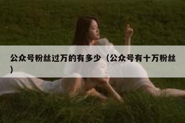 公众号粉丝过万的有多少（公众号有十万粉丝） 第1张