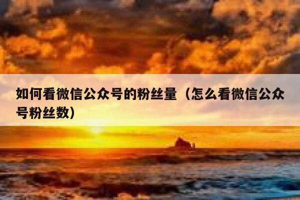 如何看微信公众号的粉丝量（怎么看微信公众号粉丝数） 第1张