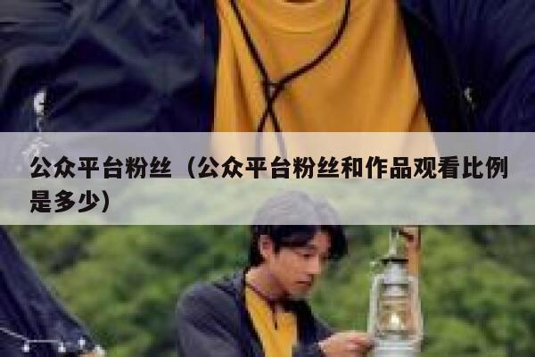 公众平台粉丝（公众平台粉丝和作品观看比例是多少） 第1张