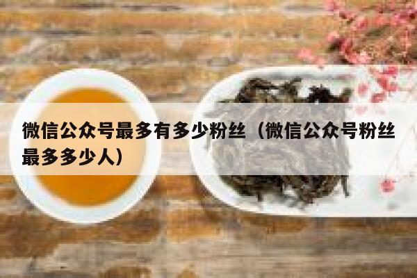 微信公众号最多有多少粉丝（微信公众号粉丝最多多少人） 第1张