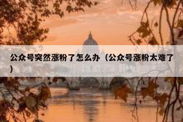 公众号突然涨粉了怎么办(公众号涨粉太难了) 第1张 公众号突然涨粉了怎么办(公众号涨粉太难了) 第1张