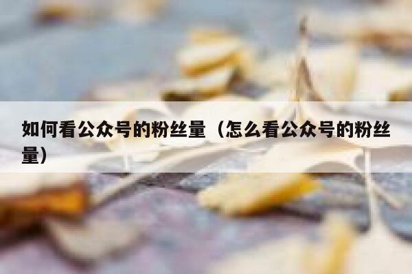 如何看公众号的粉丝量(怎么看公众号的粉丝量) 第1张 如何看公众号的粉丝量(怎么看公众号的粉丝量) 第1张