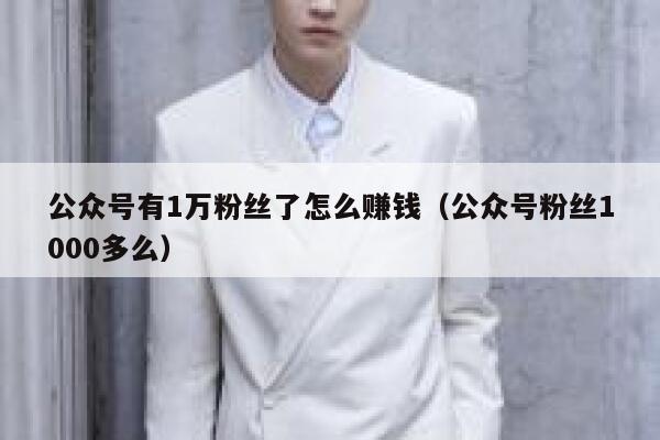 公众号有1万粉丝了怎么赚钱(公众号粉丝1000多么) 第1张 公众号有1万粉丝了怎么赚钱(公众号粉丝1000多么) 第1张