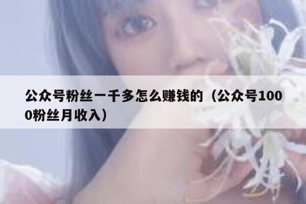 公众号粉丝一千多怎么赚钱的(公众号1000粉丝月收入) 第1张 公众号粉丝一千多怎么赚钱的(公众号1000粉丝月收入) 第1张