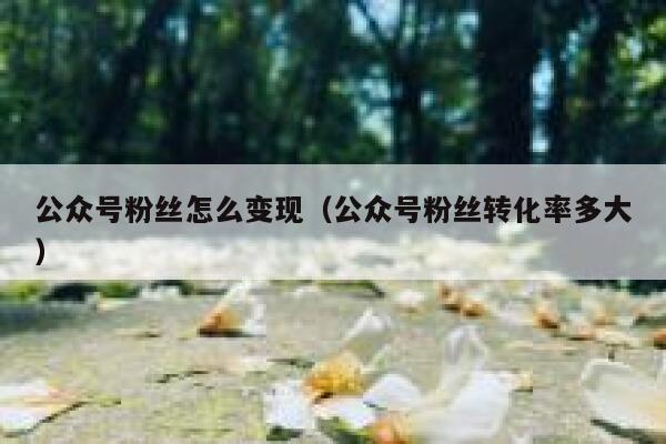 公众号粉丝怎么变现(公众号粉丝转化率多大) 第1张 公众号粉丝怎么变现(公众号粉丝转化率多大) 第1张