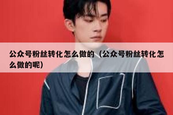 公众号粉丝转化怎么做的(公众号粉丝转化怎么做的呢) 第1张 公众号粉丝转化怎么做的(公众号粉丝转化怎么做的呢) 第1张