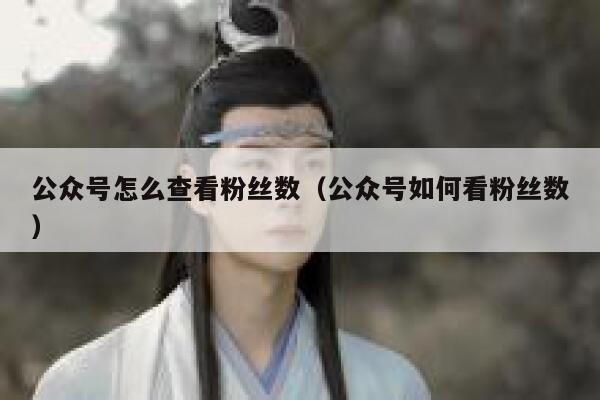 公众号怎么查看粉丝数(公众号如何看粉丝数) 第1张 公众号怎么查看粉丝数(公众号如何看粉丝数) 第1张