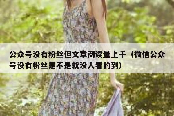 公众号没有粉丝但文章阅读量上千(微信公众号没有粉丝是不是就没人看的到) 第1张 公众号没有粉丝但文章阅读量上千(微信公众号没有粉丝是不是就没人看的到) 第1张