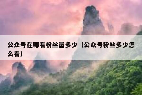公众号在哪看粉丝量多少(公众号粉丝多少怎么看) 第1张 公众号在哪看粉丝量多少(公众号粉丝多少怎么看) 第1张