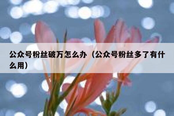 公众号粉丝破万怎么办(公众号粉丝多了有什么用) 第1张 公众号粉丝破万怎么办(公众号粉丝多了有什么用) 第1张