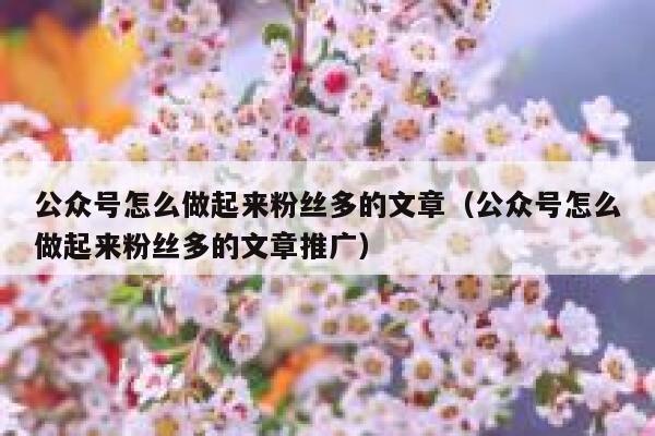 公众号怎么做起来粉丝多的文章(公众号怎么做起来粉丝多的文章推广) 第1张 公众号怎么做起来粉丝多的文章(公众号怎么做起来粉丝多的文章推广) 第1张