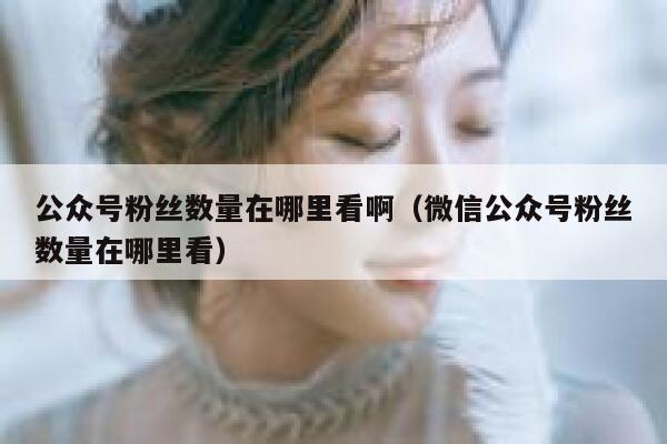 公众号粉丝数量在哪里看啊(微信公众号粉丝数量在哪里看) 第1张 公众号粉丝数量在哪里看啊(微信公众号粉丝数量在哪里看) 第1张