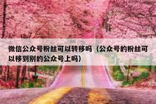 微信公众号粉丝可以转移吗(公众号的粉丝可以移到别的公众号上吗) 第1张 微信公众号粉丝可以转移吗(公众号的粉丝可以移到别的公众号上吗) 第1张