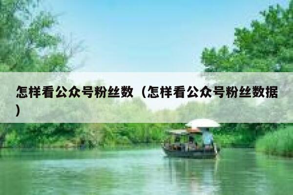 怎样看公众号粉丝数(怎样看公众号粉丝数据) 第1张 怎样看公众号粉丝数(怎样看公众号粉丝数据) 第1张