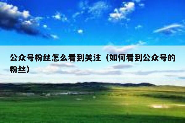 公众号粉丝怎么看到关注(如何看到公众号的粉丝) 第1张 公众号粉丝怎么看到关注(如何看到公众号的粉丝) 第1张