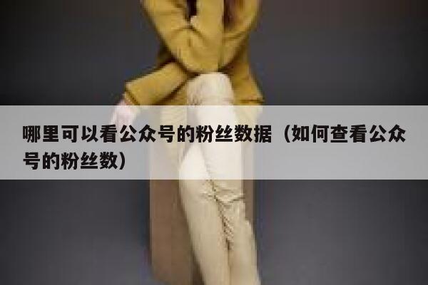 哪里可以看公众号的粉丝数据(如何查看公众号的粉丝数) 第1张 哪里可以看公众号的粉丝数据(如何查看公众号的粉丝数) 第1张