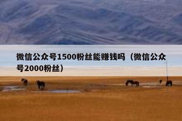 微信公众号1500粉丝能赚钱吗(微信公众号2000粉丝) 第1张 微信公众号1500粉丝能赚钱吗(微信公众号2000粉丝) 第1张