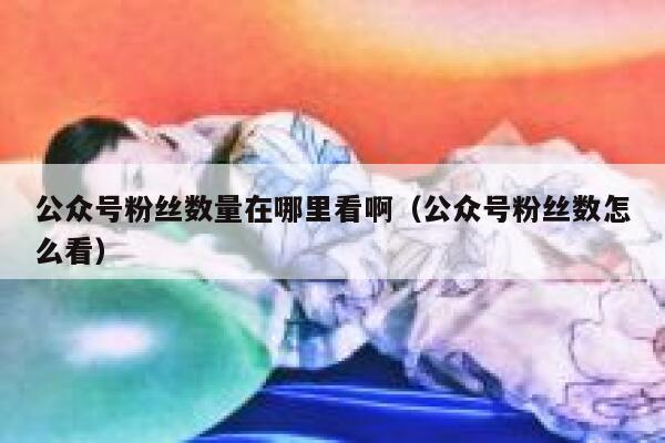 公众号粉丝数量在哪里看啊(公众号粉丝数怎么看) 第1张 公众号粉丝数量在哪里看啊(公众号粉丝数怎么看) 第1张