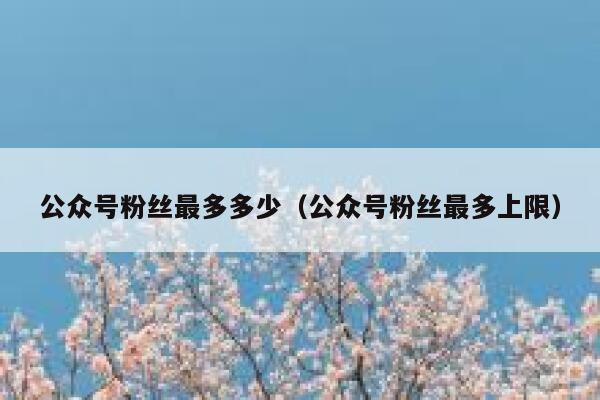 公众号粉丝最多多少(公众号粉丝最多上限) 第1张 公众号粉丝最多多少(公众号粉丝最多上限) 第1张
