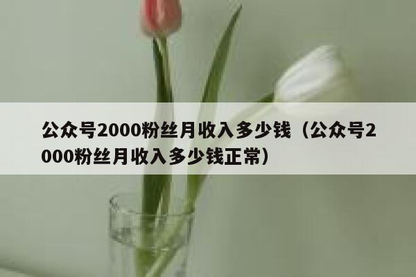 公众号2000粉丝月收入多少钱（公众号2000粉丝月收入多少钱正常） 第1张