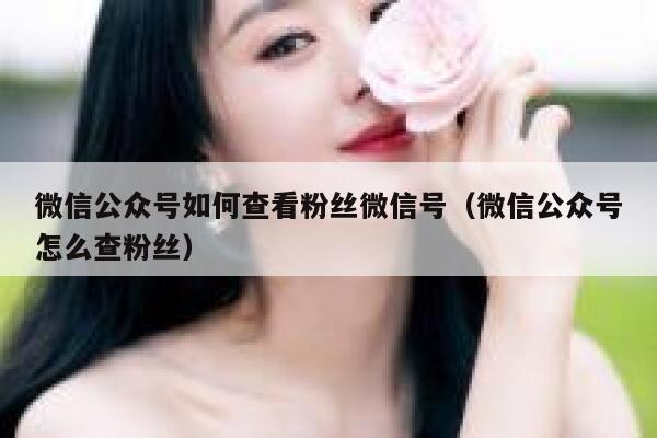 微信公众号如何查看粉丝微信号(微信公众号怎么查粉丝) 第1张 微信公众号如何查看粉丝微信号(微信公众号怎么查粉丝) 第1张