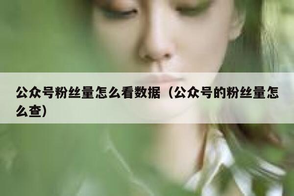 公众号粉丝量怎么看数据（公众号的粉丝量怎么查） 第1张