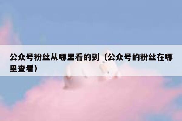 公众号粉丝从哪里看的到（公众号的粉丝在哪里查看） 第1张