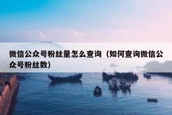 微信公众号粉丝量怎么查询（如何查询微信公众号粉丝数） 第1张