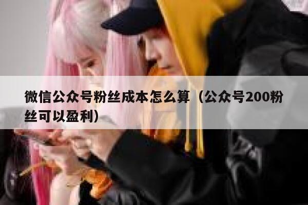 微信公众号粉丝成本怎么算(公众号200粉丝可以盈利) 第1张 微信公众号粉丝成本怎么算(公众号200粉丝可以盈利) 第1张