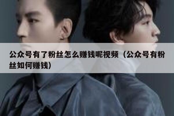 公众号有了粉丝怎么赚钱呢视频(公众号有粉丝如何赚钱) 第1张 公众号有了粉丝怎么赚钱呢视频(公众号有粉丝如何赚钱) 第1张