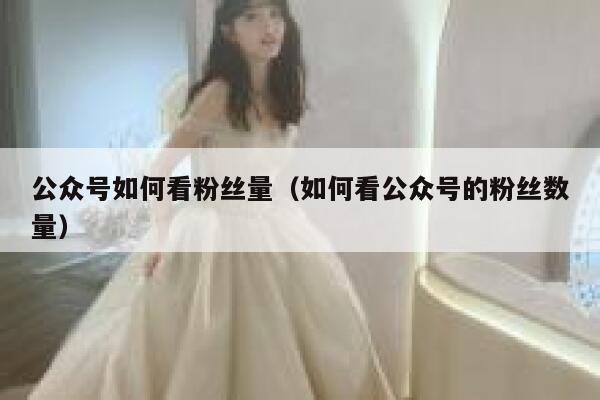 公众号如何看粉丝量（如何看公众号的粉丝数量） 第1张