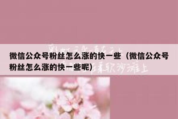 微信公众号粉丝怎么涨的快一些（微信公众号粉丝怎么涨的快一些呢） 第1张