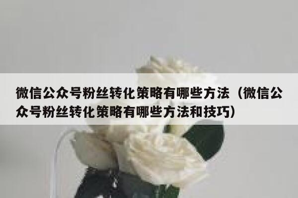 微信公众号粉丝转化策略有哪些方法（微信公众号粉丝转化策略有哪些方法和技巧） 第1张