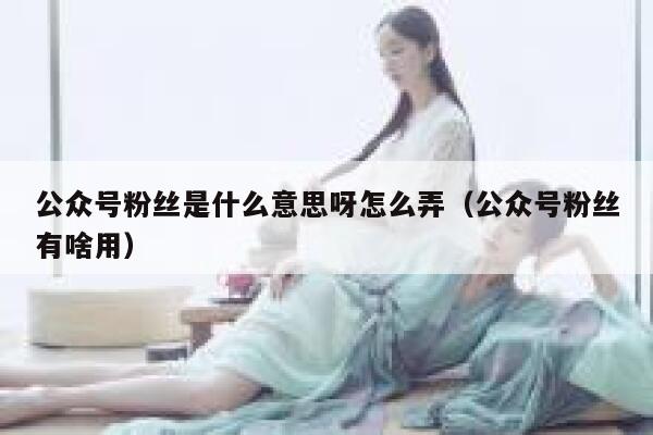公众号粉丝是什么意思呀怎么弄（公众号粉丝有啥用） 第1张