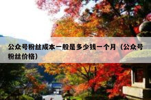 公众号粉丝成本一般是多少钱一个月（公众号粉丝价格） 第1张