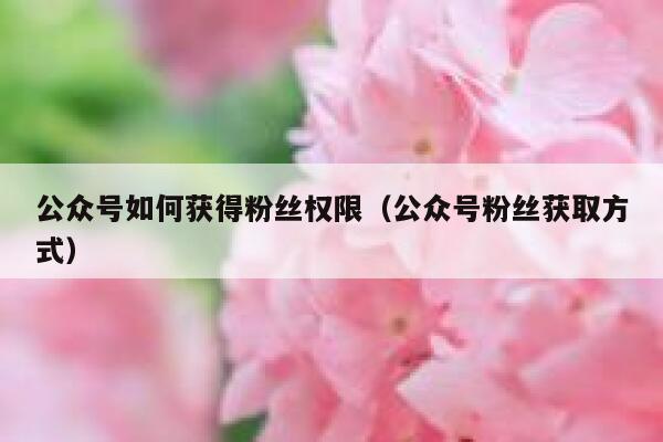 公众号如何获得粉丝权限（公众号粉丝获取方式） 第1张