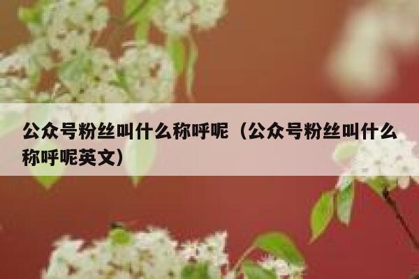 公众号粉丝叫什么称呼呢（公众号粉丝叫什么称呼呢英文） 第1张