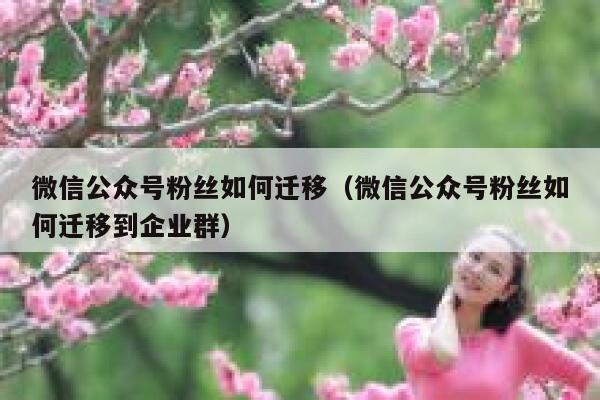 微信公众号粉丝如何迁移（微信公众号粉丝如何迁移到企业群） 第1张