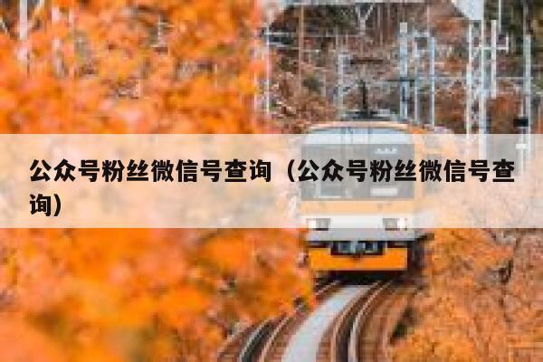 公众号粉丝微信号查询（公众号粉丝微信号查询） 第1张